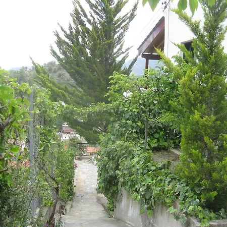 Летний дом Danai House Palechori